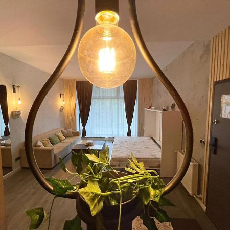 Ferienwohnung Mat Rent Poiana Brașov Exterior foto
